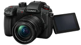 Panasonic Lumix G GH5 II (DC-GH5M2M) + Panasonic LUMIX G Vario 12-60mm f/3.5-5.6 Asph. Power O.I.S (H-FS12060) (Black)