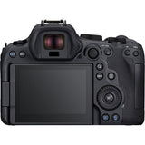 Canon EOS R6 Mark II + RF 24-105mm F4-7.1 IS STM + Mount Adapter EF-EOS R