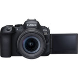 Canon EOS R6 Mark II + RF 24-105mm F4-7.1 IS STM + Mount Adapter EF-EOS R