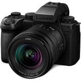 Panasonic Lumix G GH5 II (DC-GH5M2L) + Panasonic LEICA DG VARIO-ELMARIT 12-60mm / F2.8-4.0 ASPH. / POWER O.I.S. (H-ES12060)