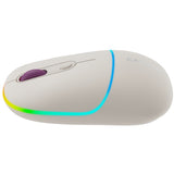 CANYON MW-22 2-in-1 Bluetooth/Wireless Mouse