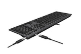 A4Tech FSTYLER FX60H USB QWERTY Keyboard - Black/Grey with White Backlight