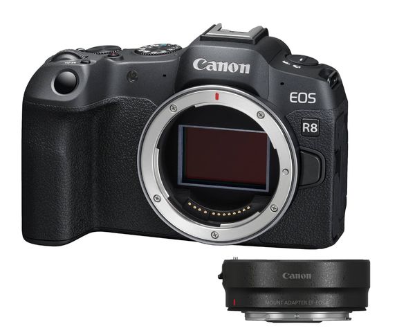 Canon EOS R8 + Mount Adapter EF-EOS R