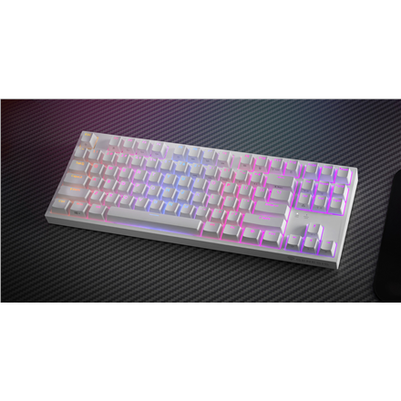 Genesis THOR 404 TKL Mechanical Gaming Keyboard - Wired, US Layout, Gateron Yellow Pro, White, RGB