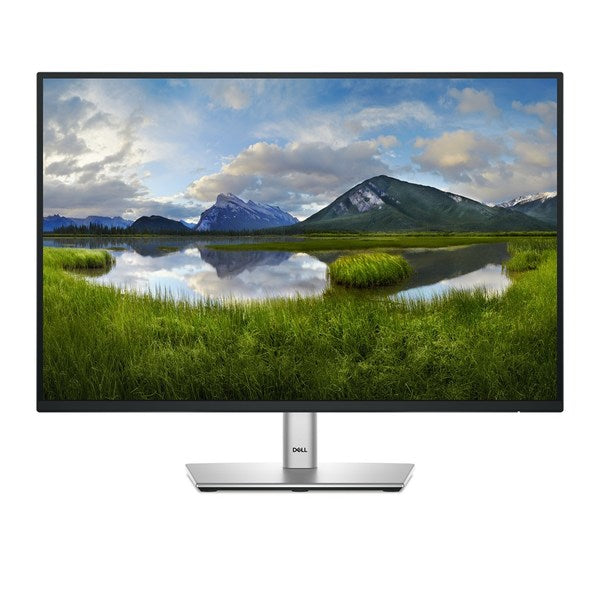 DELL P2425E 100Hz LED monitor with IPS technology - 24.07 inches - WUXGA (1920x1200, 16:10, 94ppi) - Response time: 8ms - Connections: HDMI, DisplayPort, U...