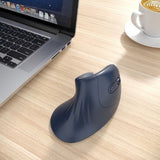GEMBIRD Ergonomic 6-Button Wireless Optical Mouse - Black