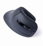 GEMBIRD Ergonomic 6-Button Wireless Optical Mouse - Black