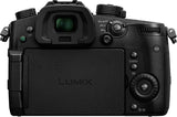 Panasonic Lumix G GH5 (DC-GH5L) + Panasonic LEICA DG VARIO-ELMARIT 12-60mm / F2.8-4.0 ASPH. / POWER O.I.S. (H-ES12060)