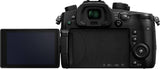 Panasonic Lumix G GH5 (DC-GH5L) + Panasonic LEICA DG VARIO-ELMARIT 12-60mm / F2.8-4.0 ASPH. / POWER O.I.S. (H-ES12060)
