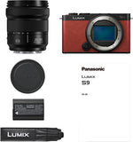 Panasonic Lumix DC-S9 + 20-60mm, crimson red
