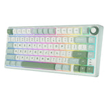 Royal Kludge RK61 60% Hot-Swap Mechanical Keyboard - Brown Switches, US Layout, White