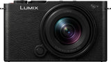Panasonic Lumix G GH5 (DC-GH5L) + Panasonic LEICA DG VARIO-ELMARIT 12-60mm / F2.8-4.0 ASPH. / POWER O.I.S. (H-ES12060)