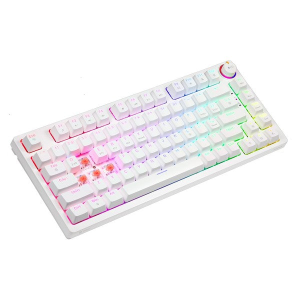Mechanical Keyboard Phen OWN - Premium Gaming & Typing Experience