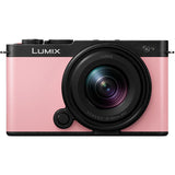Panasonic Lumix DC-S5 body