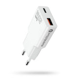 EcoFlow CHARGER RAPID PRO/100W 3P (5021201008)