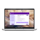 Dell Pro 13 Plus PB13250 - 13.3" IPS, 60Hz, WUXGA (1920×1200), Matte - Intel Core Ultra 5 236V - 16GB LPDDR5X - 512GB SSD - Intel Arc Graphics - Windows ...