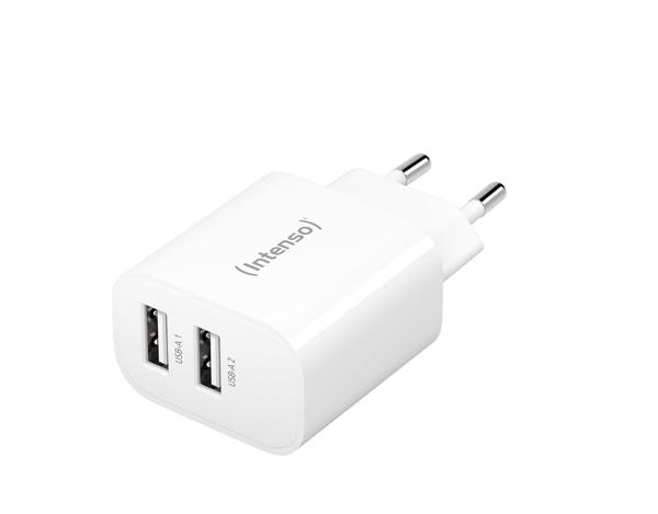Intenso 2x USB-A Power Adapter - Model 7802412