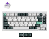 Keychron Q1 HE RGB Aluminum Wireless Keyboard - US Layout - Hot-Swappable Gateron 2.0 Magnetic Nebula Switch - Carbon Black